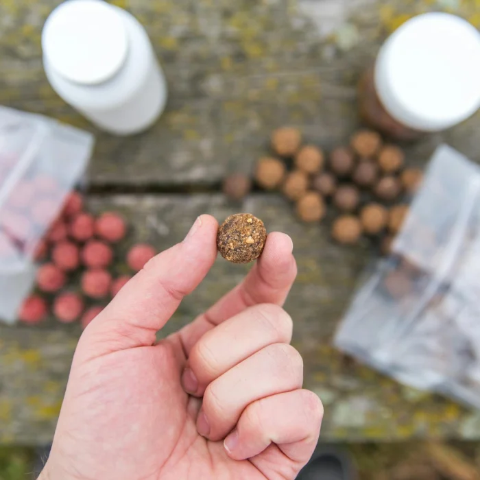 Handmade boilie for carp fishing held in a carp angler's hand with baits in the background